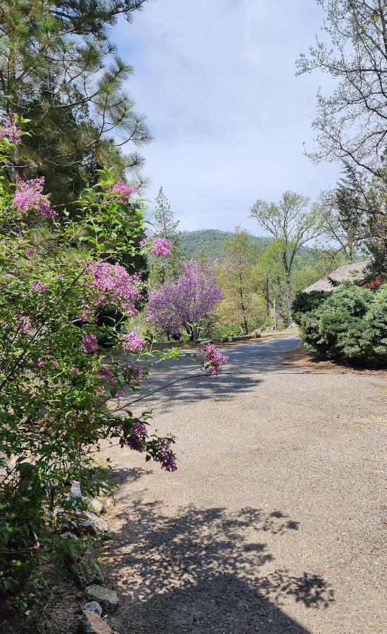 Willa Yosemite Mountain Retreat Oakhurst Zewnętrze zdjęcie